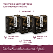 Komplet Intenzívny kolagénový kurz