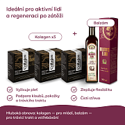 Komplet Bolotov Restart Program
